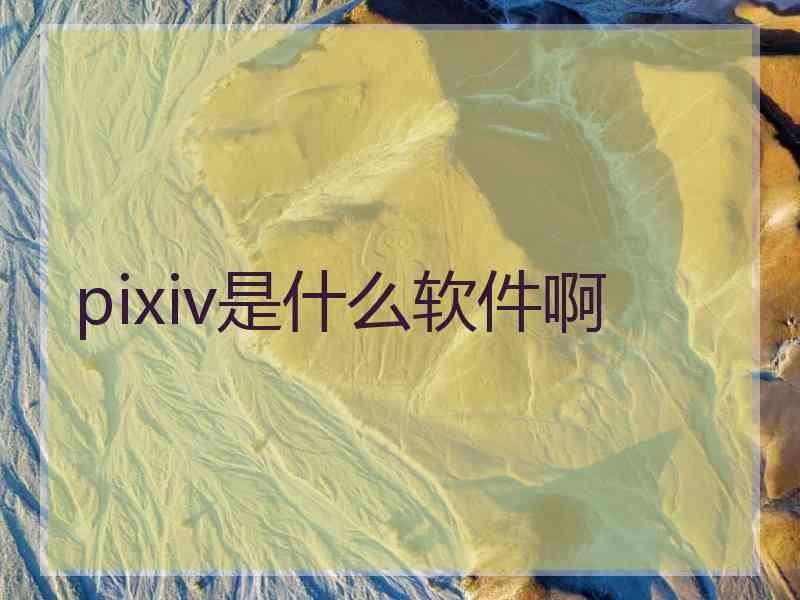 pixiv是什么软件啊