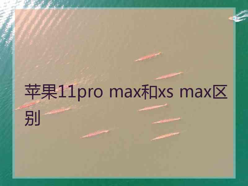 苹果11pro max和xs max区别