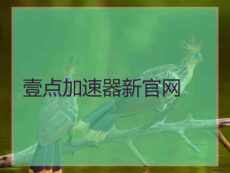 壹点加速器新官网