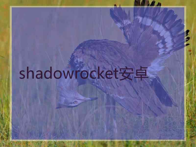 shadowrocket安卓