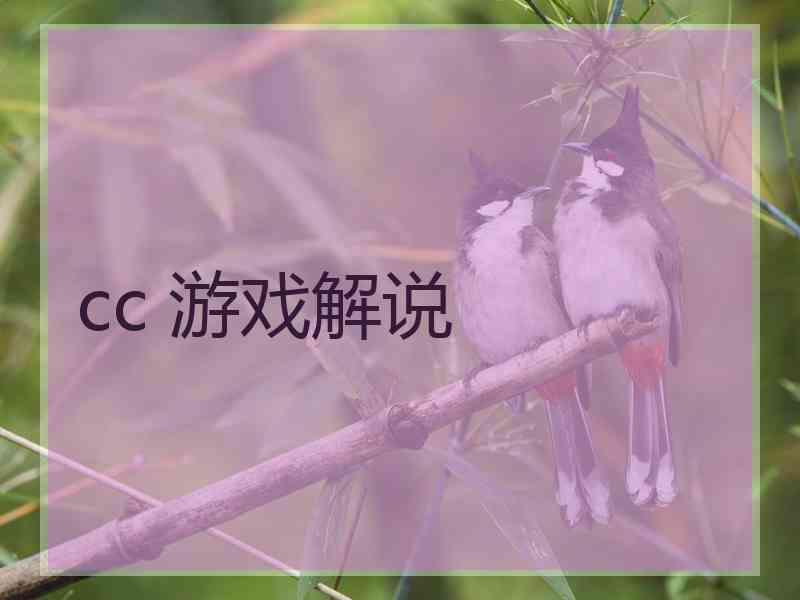 cc 游戏解说