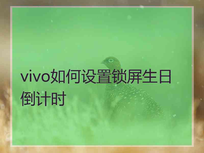 vivo如何设置锁屏生日倒计时