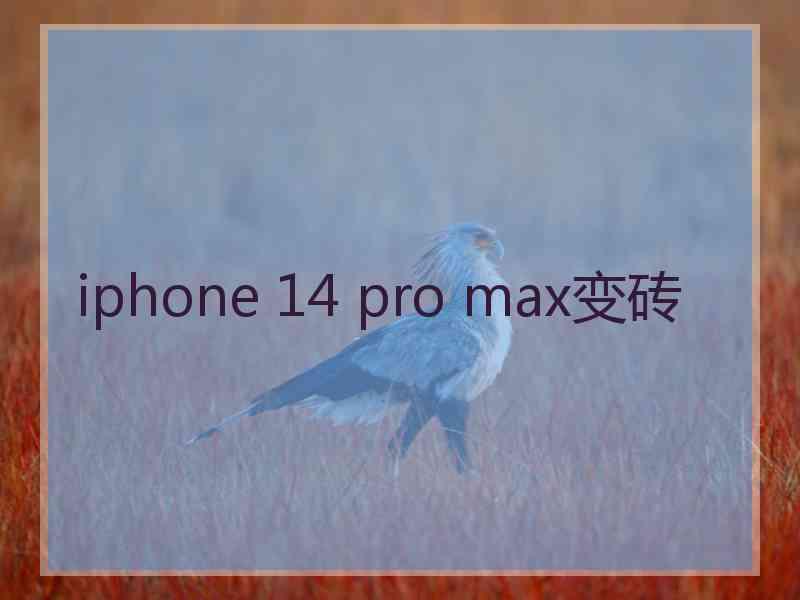 iphone 14 pro max变砖