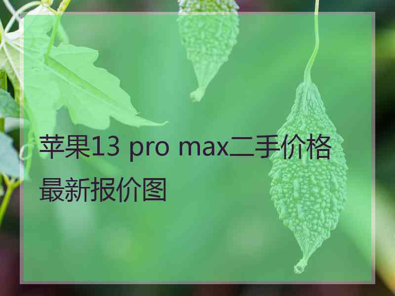 苹果13 pro max二手价格最新报价图