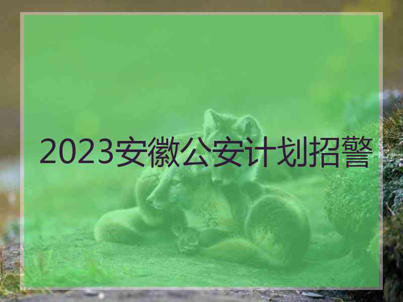 2023安徽公安计划招警