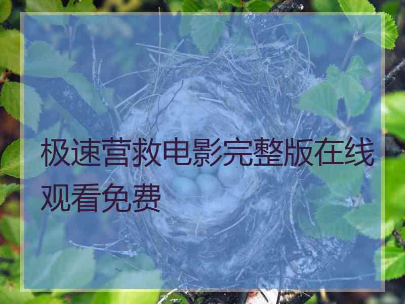 极速营救电影完整版在线观看免费