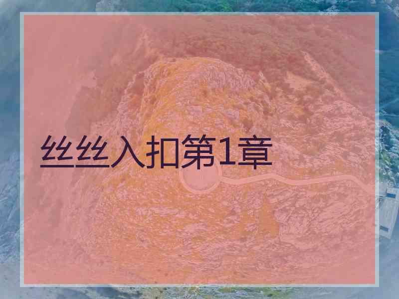 丝丝入扣第1章