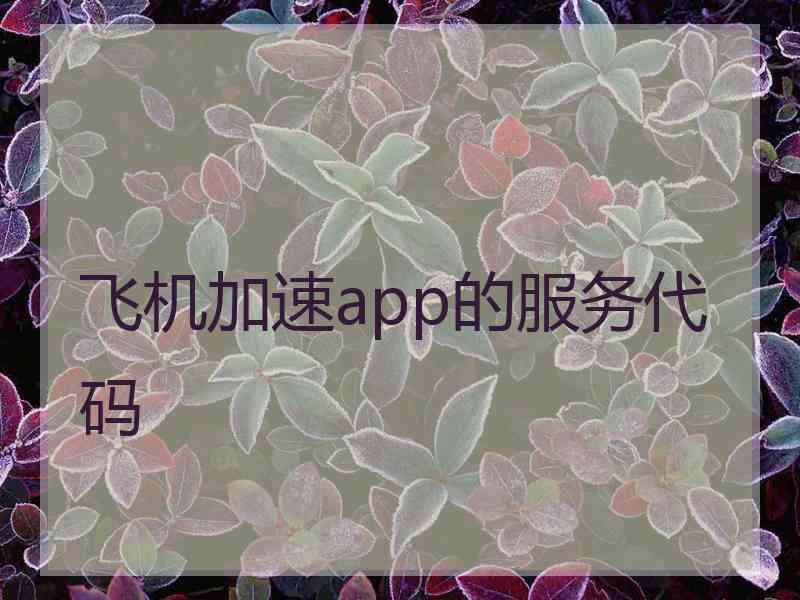 飞机加速app的服务代码