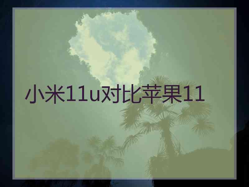 小米11u对比苹果11