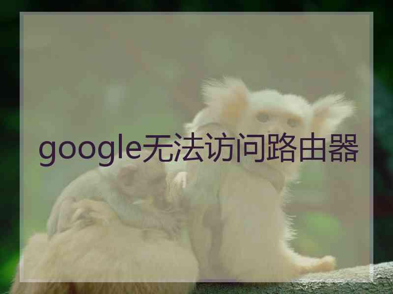 google无法访问路由器