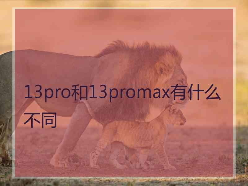 13pro和13promax有什么不同