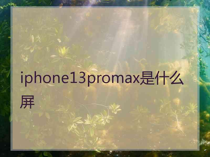 iphone13promax是什么屏