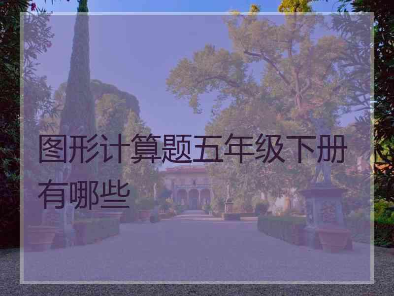 图形计算题五年级下册有哪些