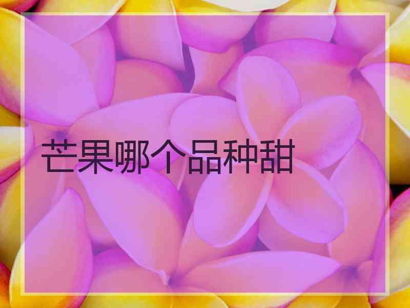 芒果哪个品种甜