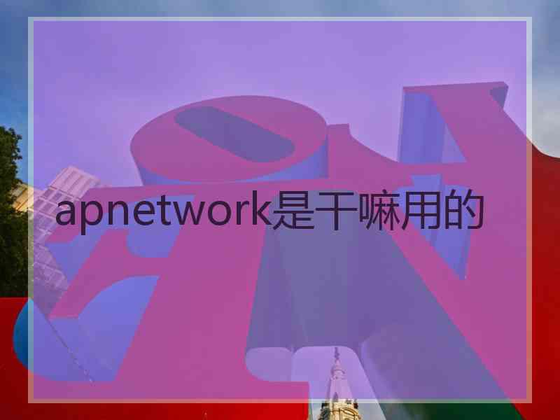 apnetwork是干嘛用的