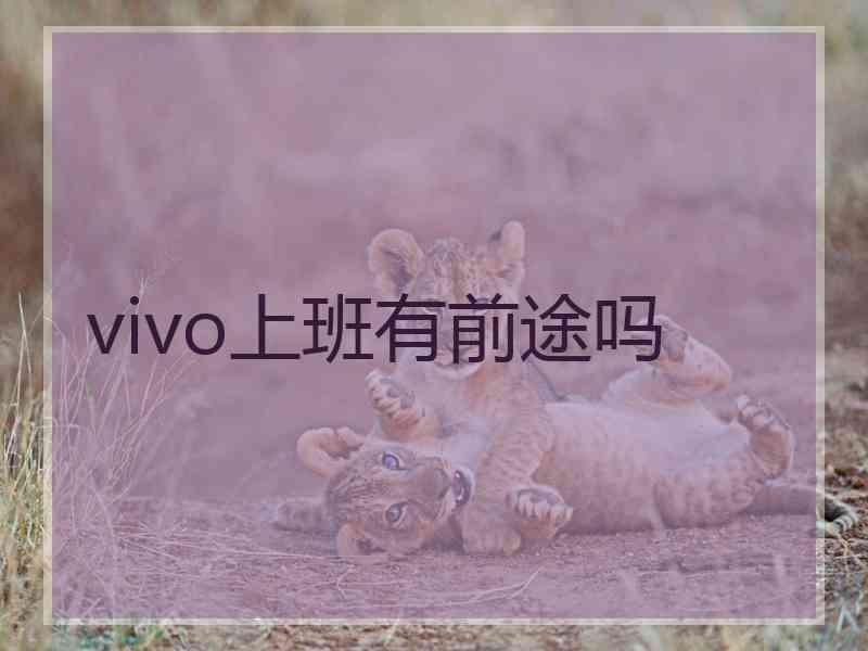 vivo上班有前途吗