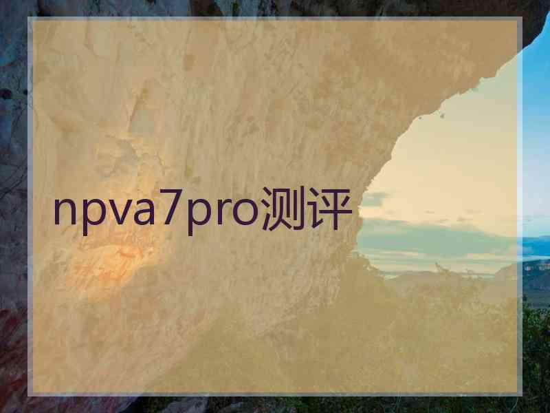 npva7pro测评