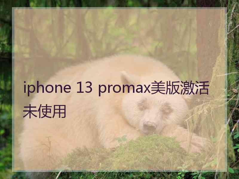 iphone 13 promax美版激活未使用