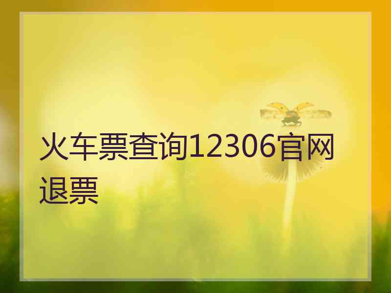 火车票查询12306官网退票