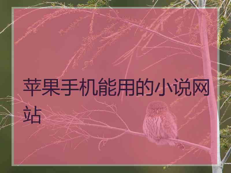 苹果手机能用的小说网站