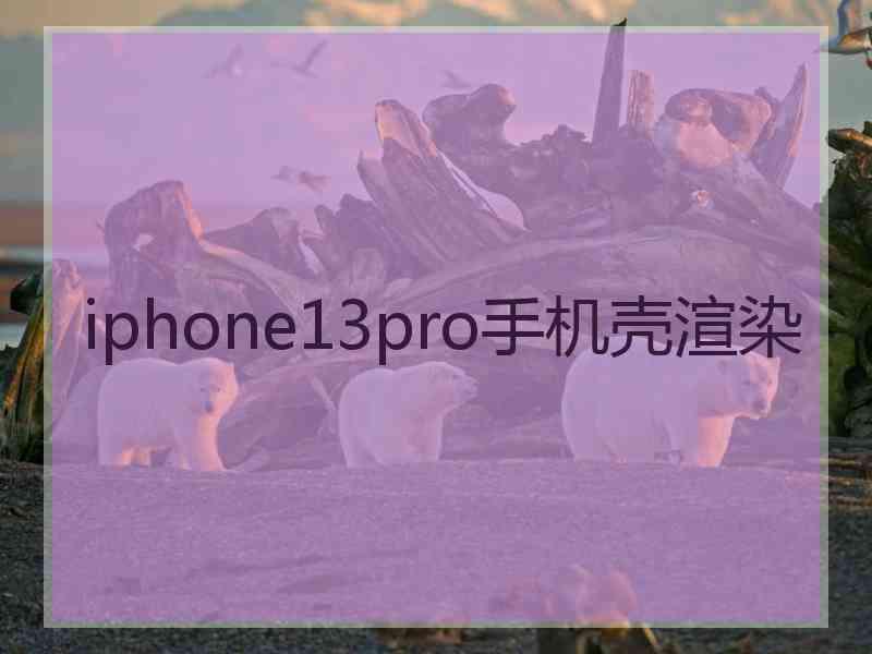 iphone13pro手机壳渲染