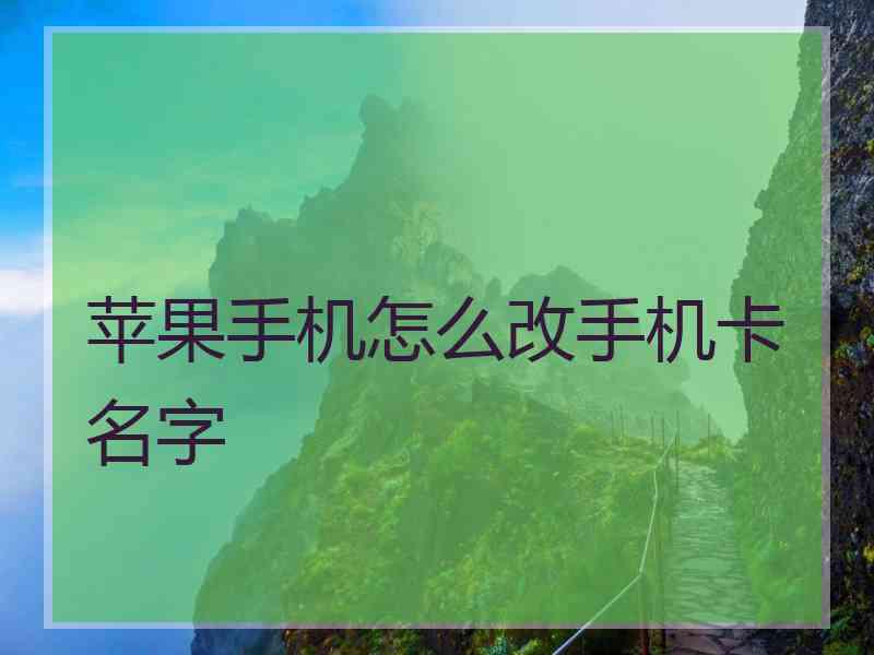 苹果手机怎么改手机卡名字