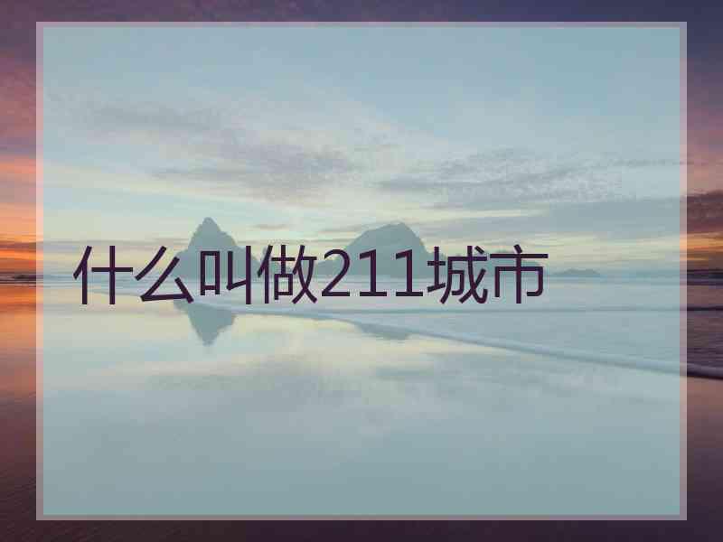 什么叫做211城市