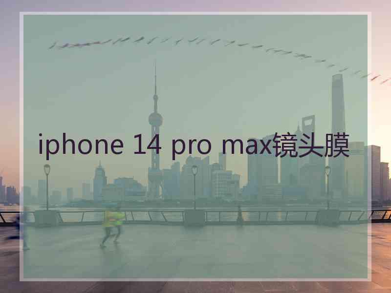 iphone 14 pro max镜头膜