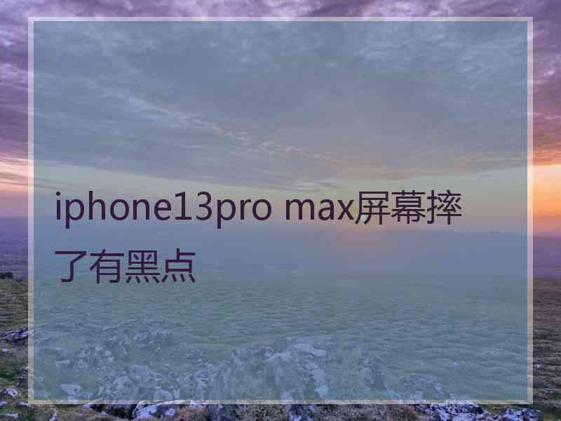 iphone13pro max屏幕摔了有黑点