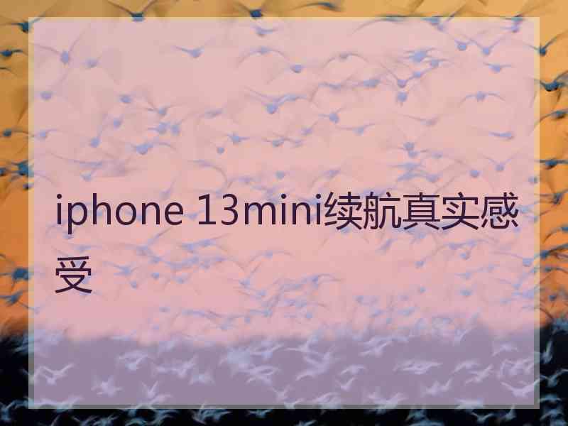 iphone 13mini续航真实感受