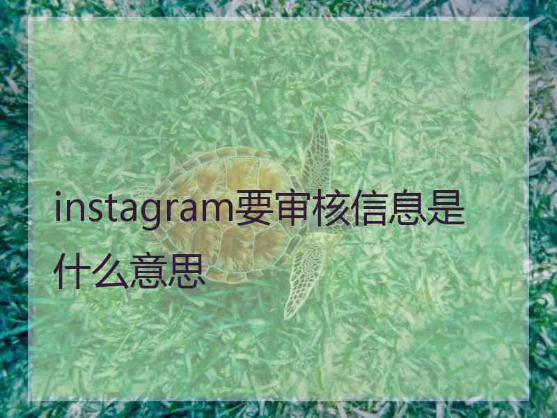 instagram要审核信息是什么意思