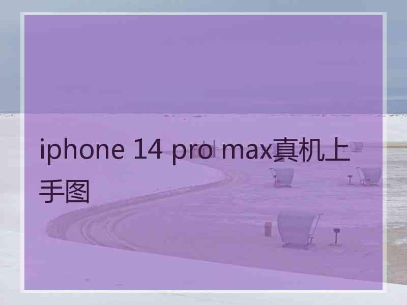 iphone 14 pro max真机上手图