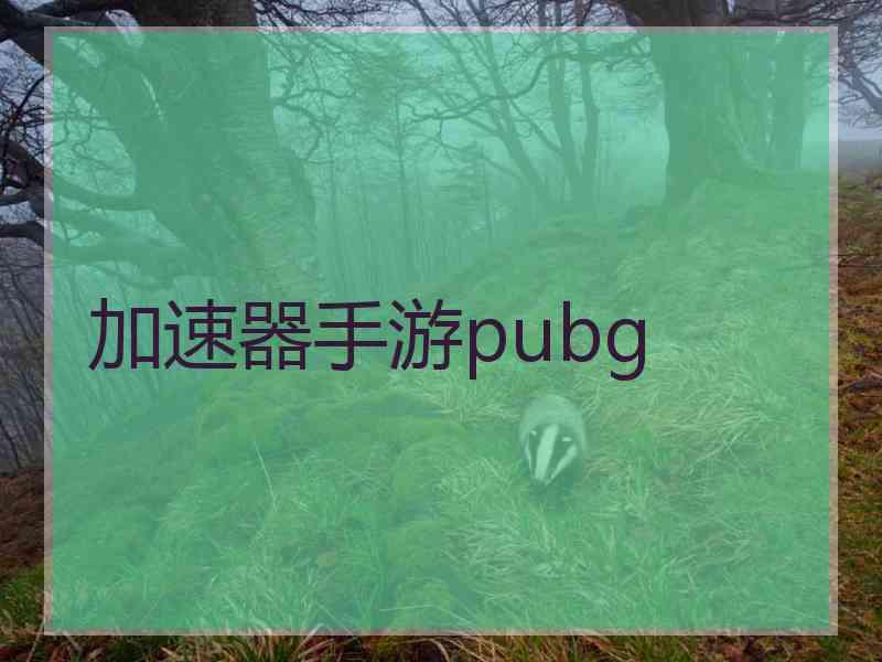 加速器手游pubg