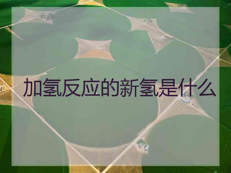 加氢反应的新氢是什么