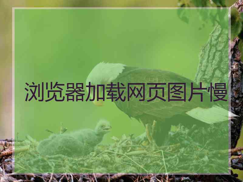 浏览器加载网页图片慢