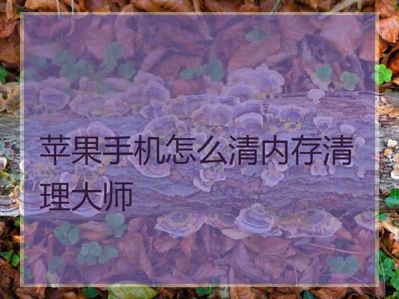 苹果手机怎么清内存清理大师