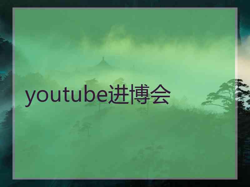 youtube进博会