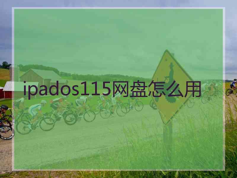 ipados115网盘怎么用