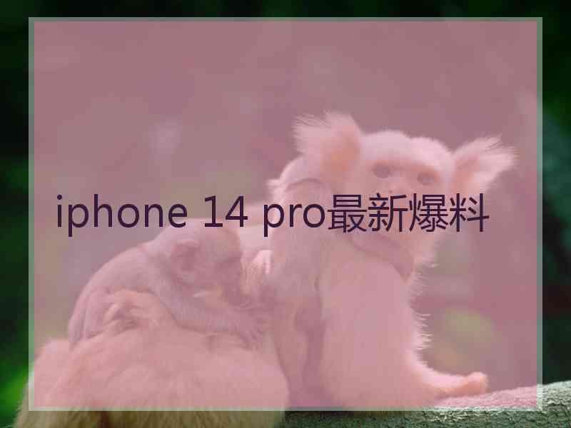 iphone 14 pro最新爆料