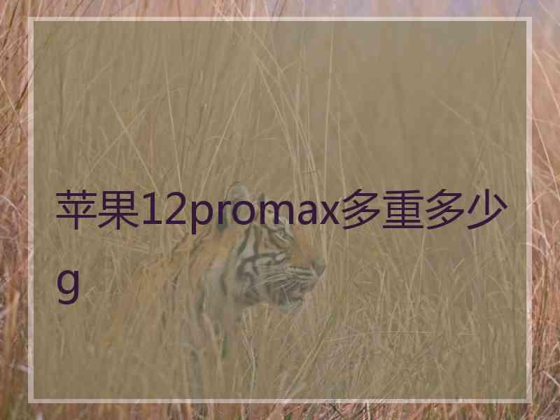 苹果12promax多重多少g