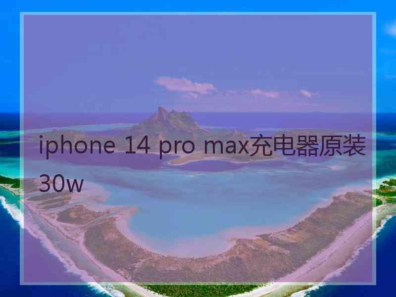 iphone 14 pro max充电器原装30w