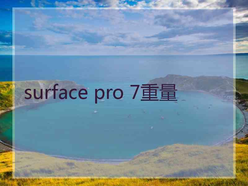 surface pro 7重量