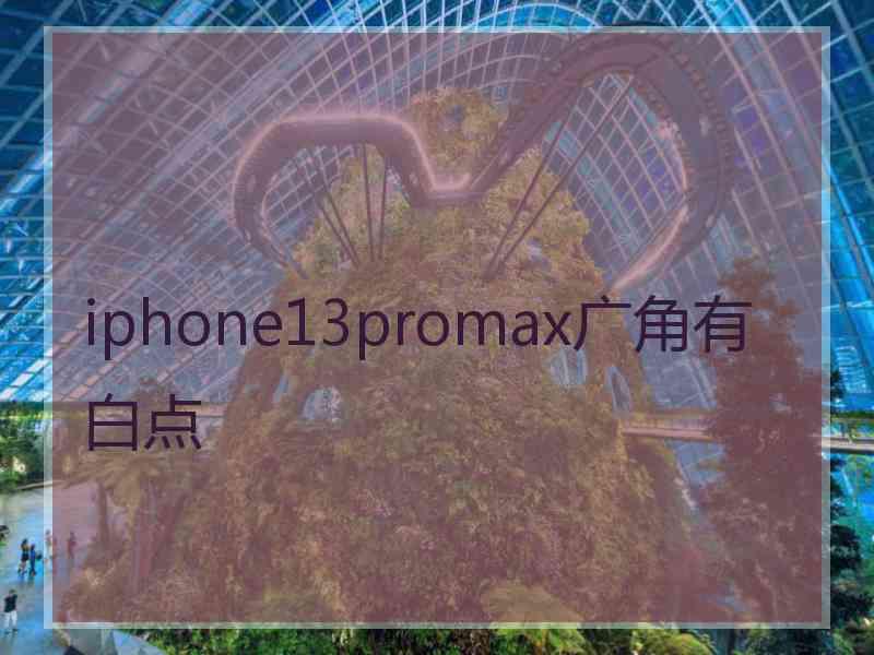 iphone13promax广角有白点