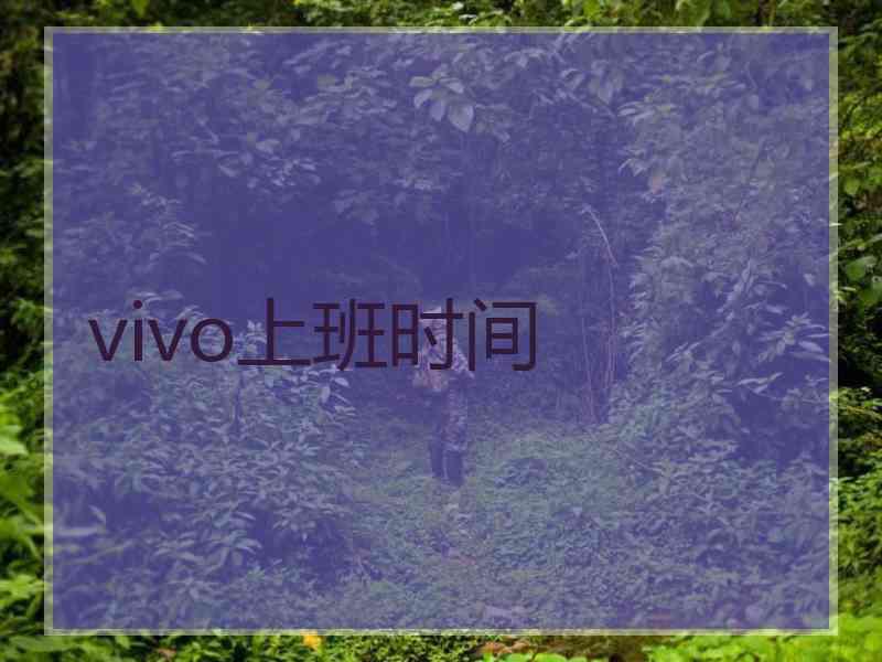 vivo上班时间