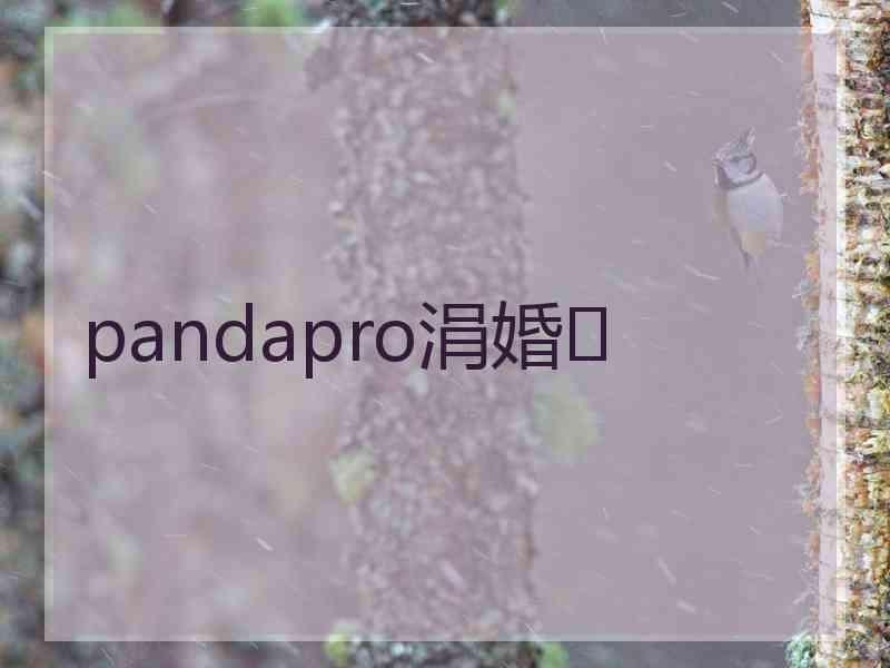 pandapro涓婚