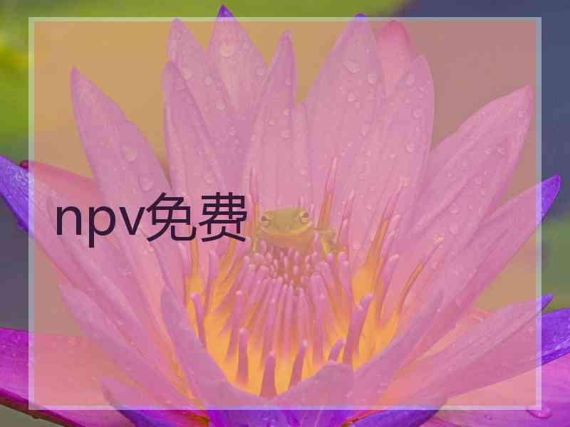 npv免费