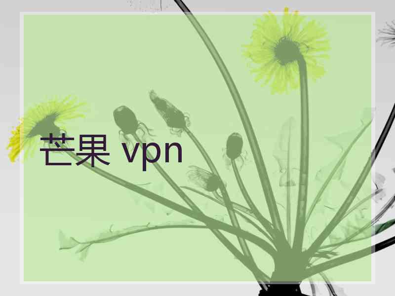 芒果 vpn