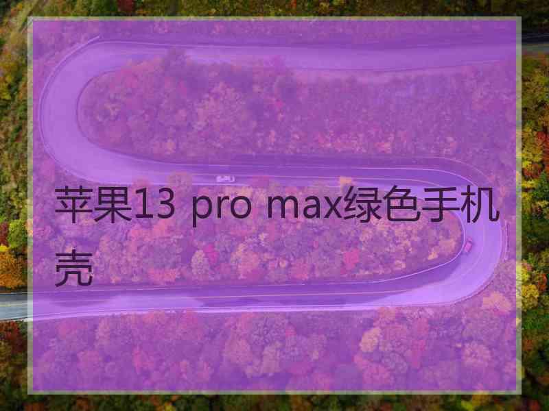 苹果13 pro max绿色手机壳