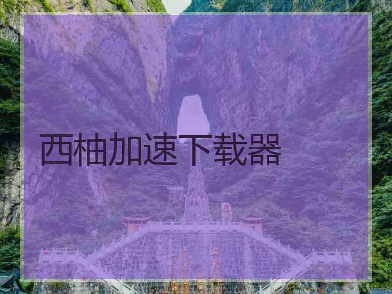 西柚加速下载器