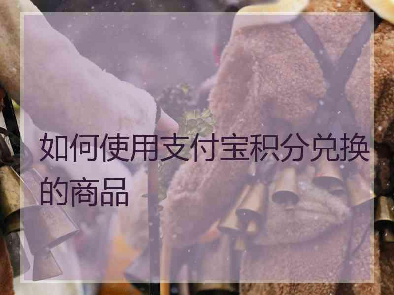 如何使用支付宝积分兑换的商品